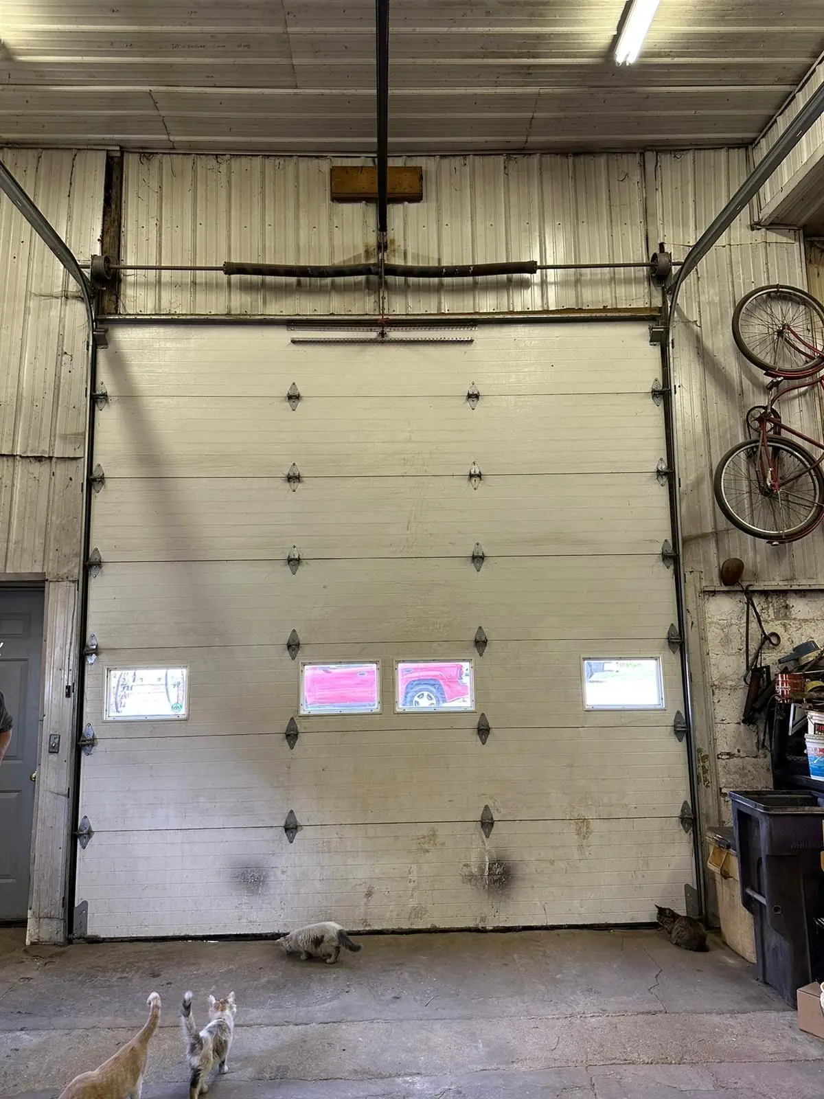 Large commercial sectional overhead door and its torsion springs, seen from inside the building